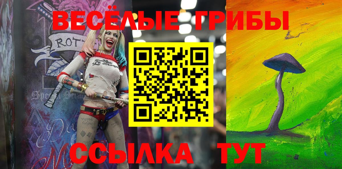 Хасавюрт  Псилоцибиновые грибы Psilocybine cubensis  Вход с VPN 